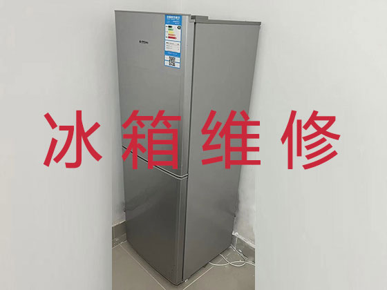 上海冰箱维修服务